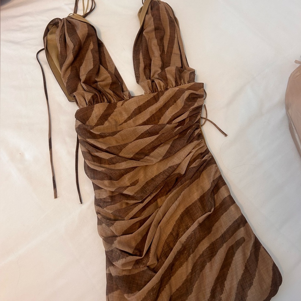 Zara Mini Leopard Dress